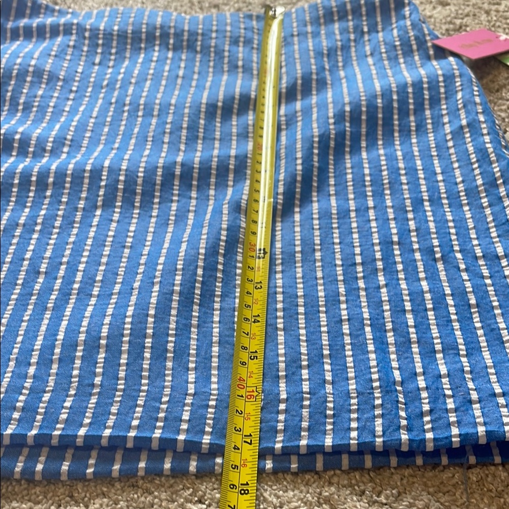NWT Rae & Riley Blue Striped Skirt. 8 - Picture 5 of 6